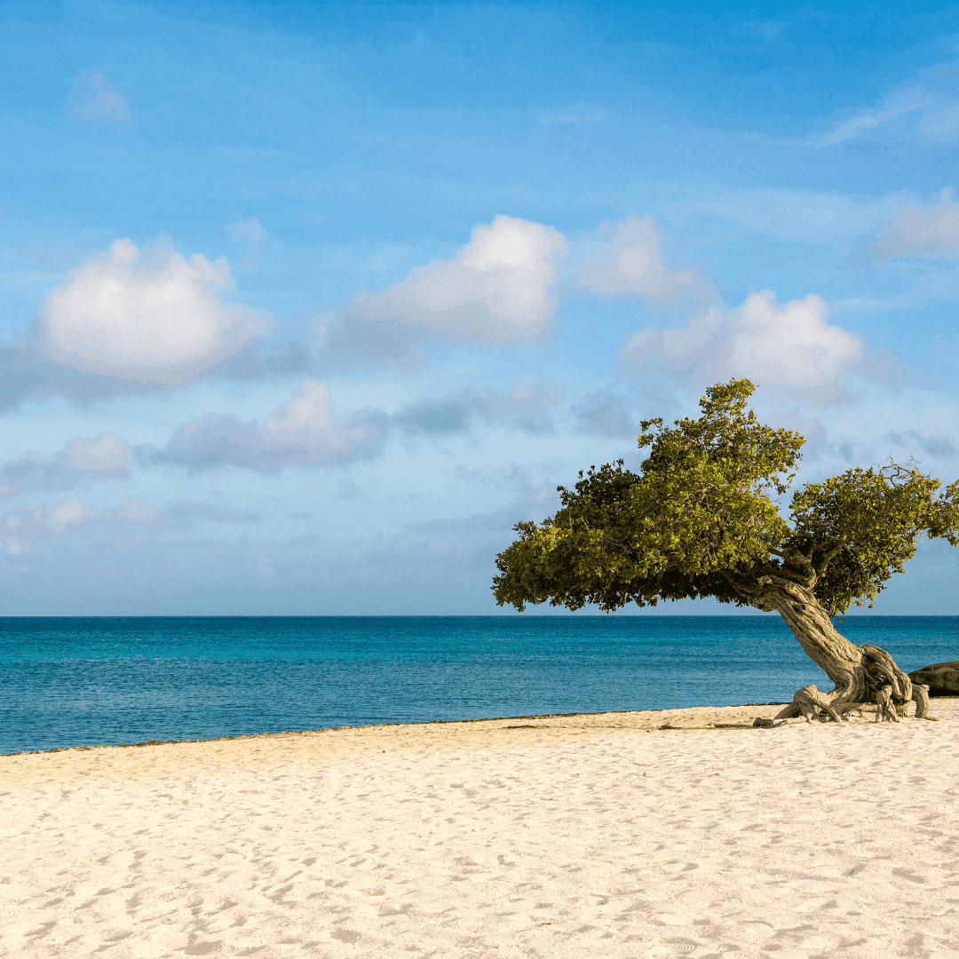 Aruba low cost