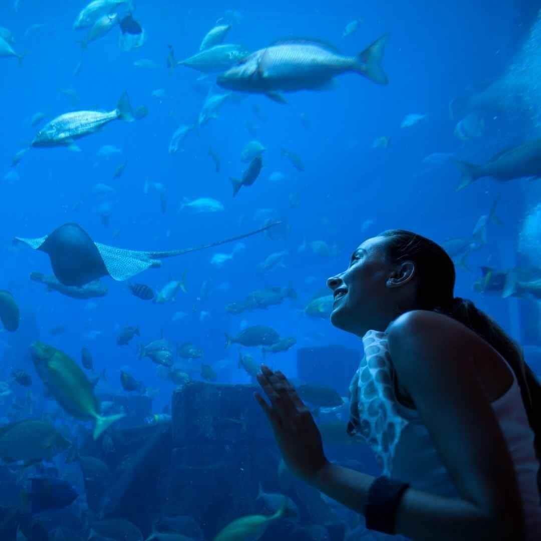Curacao 4 Noches