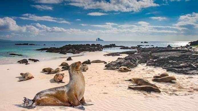 Galápagos es uno de los sitios que debes visitar antes de morir
