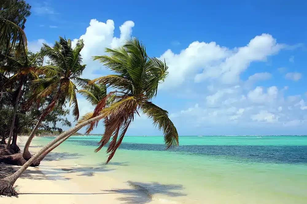 Punta Cana Premium – Hoteles Barceló Bávaro
