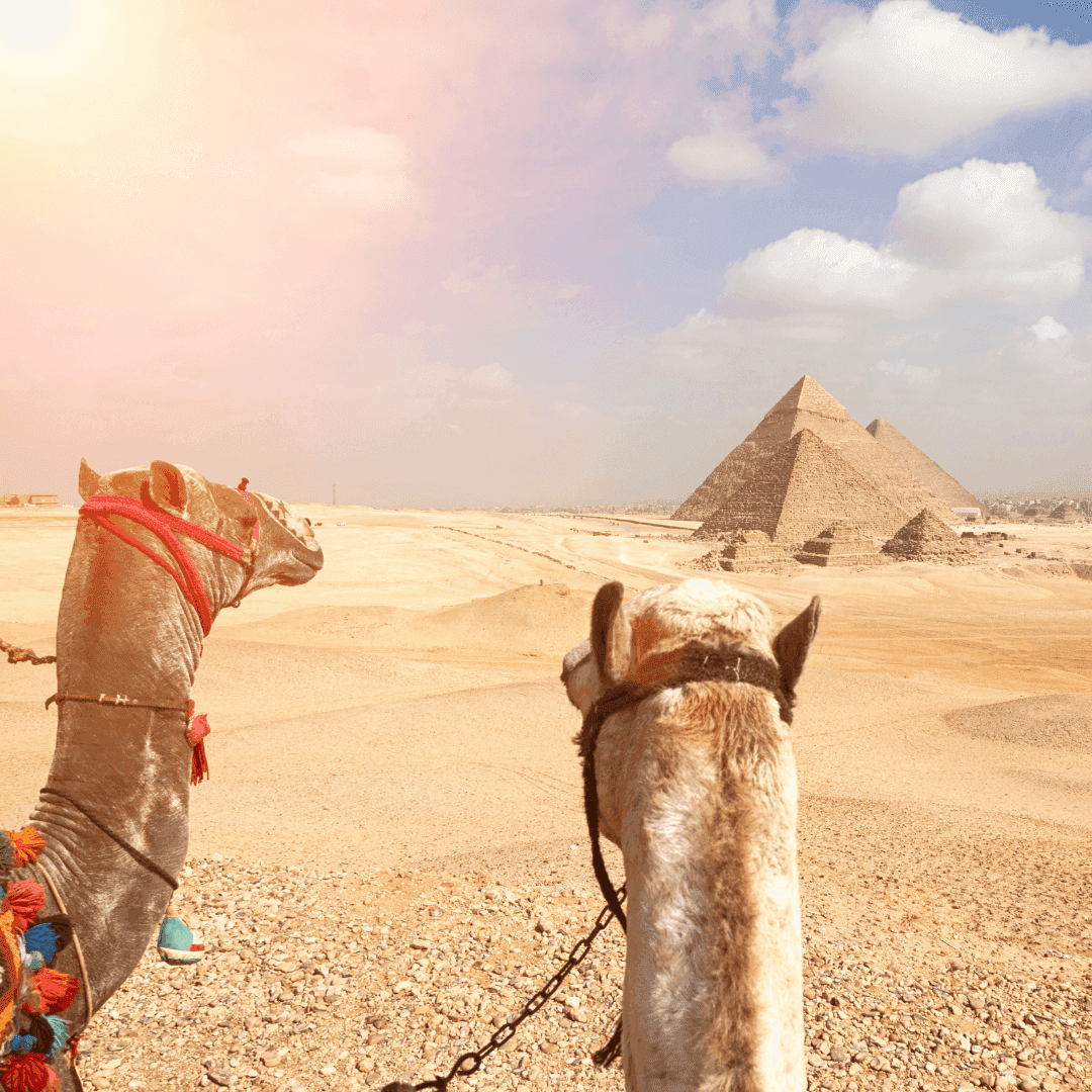 Turquía & Egipto